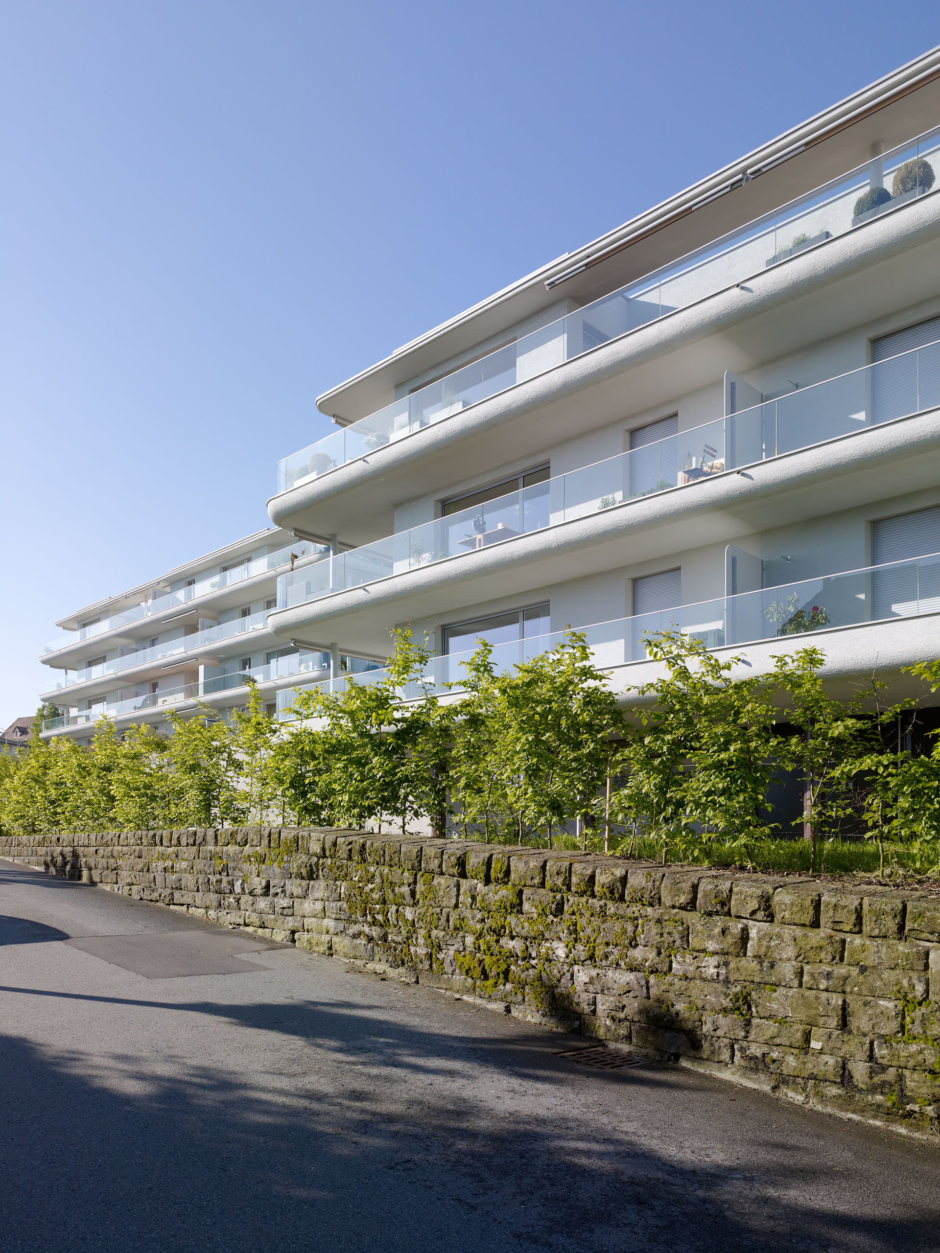 E11352 Alpa 035008 j2560